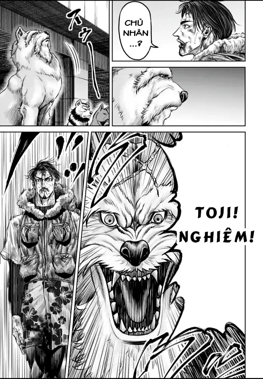 Trang 8 - Loạn Đấu Tokyo