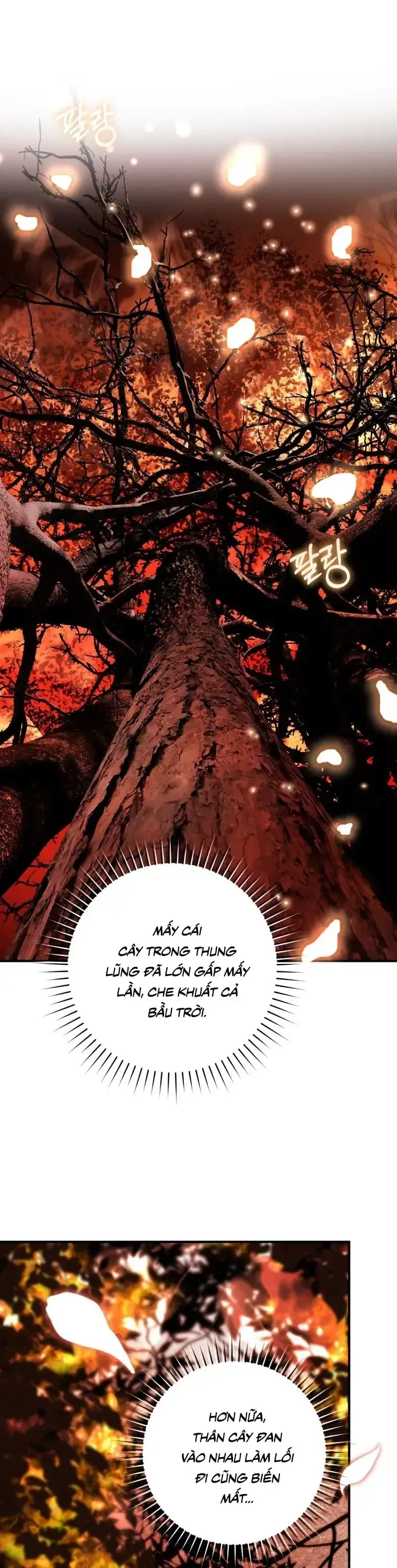 Chương 45 - Trang 13