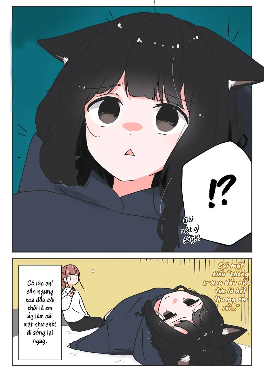 Câu Chuyện Về Con Mèo Đen Tự Nhiên Biến Thành Người.