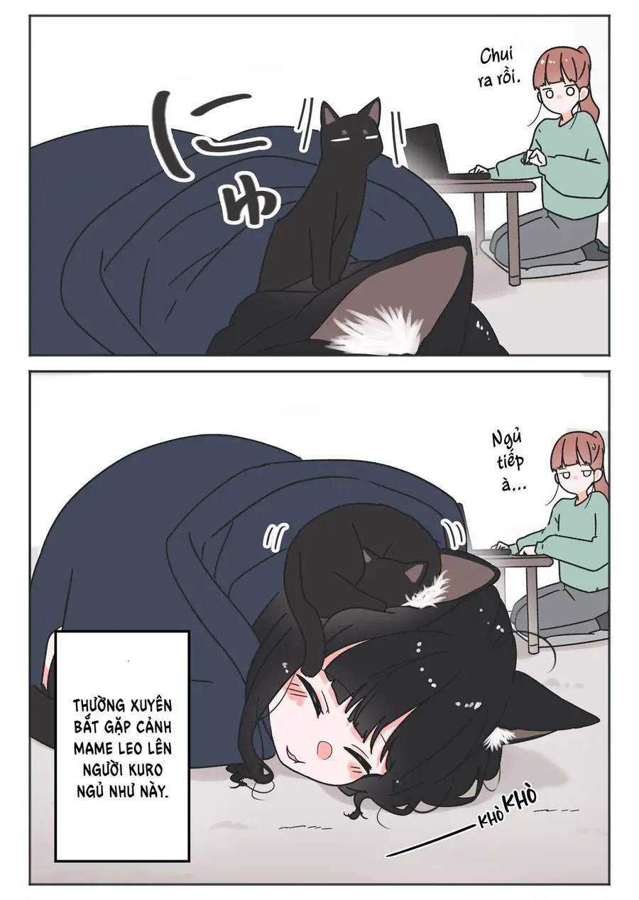 Câu Chuyện Về Con Mèo Đen Tự Nhiên Biến Thành Người.