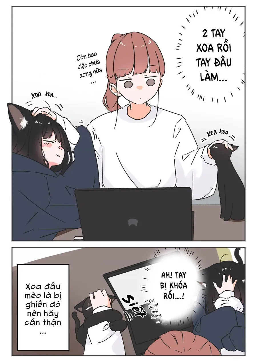 Câu Chuyện Về Con Mèo Đen Tự Nhiên Biến Thành Người.