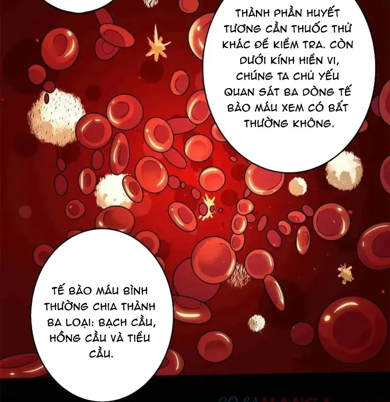 Nhân Vật Phản Diện? Chắc Chắn Không Phải Ta Chap 234 - Next Chap 233