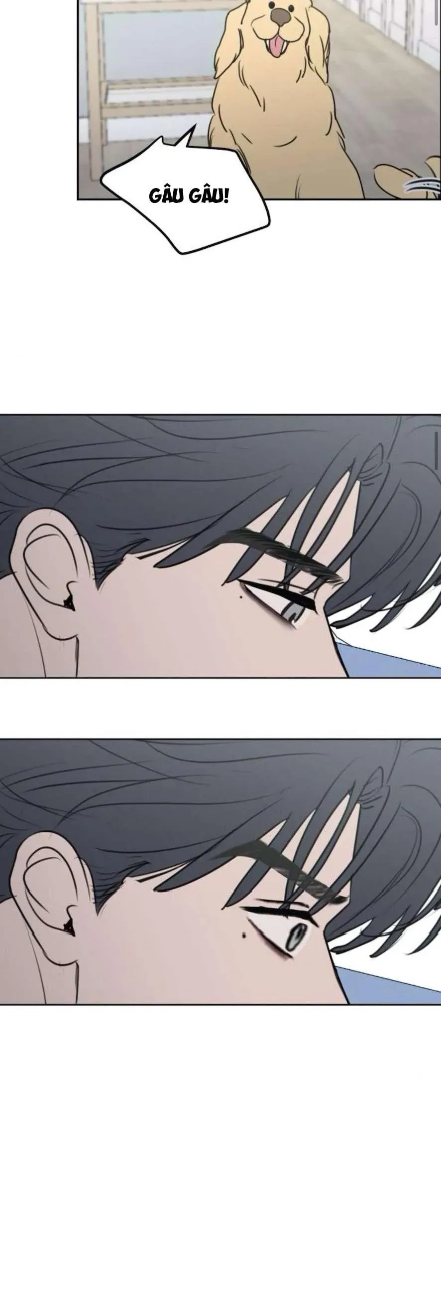 Trang 27 - Muốn Bị Lừa Dối