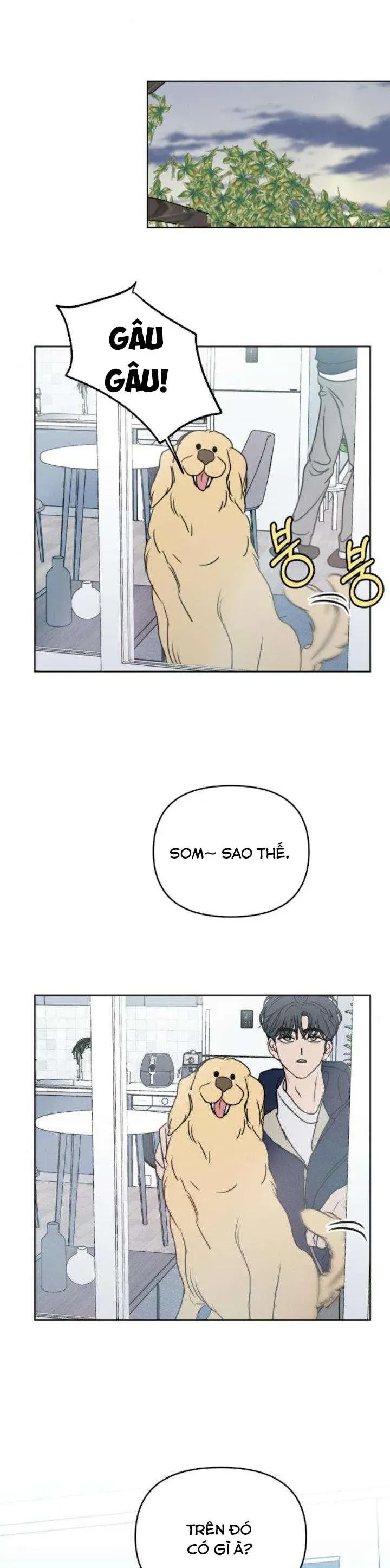 Trang 40 - Muốn Bị Lừa Dối