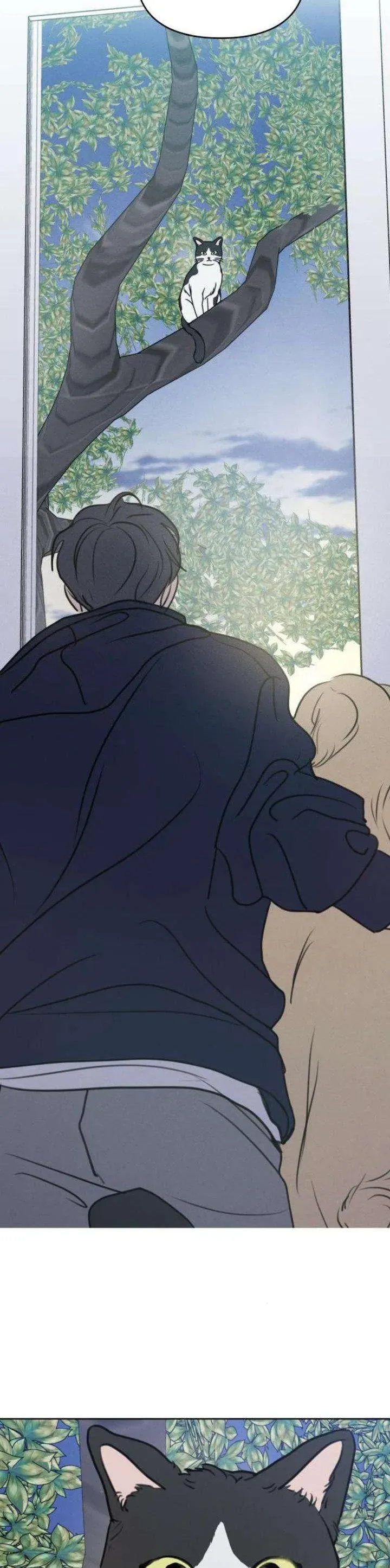 Trang 41 - Muốn Bị Lừa Dối