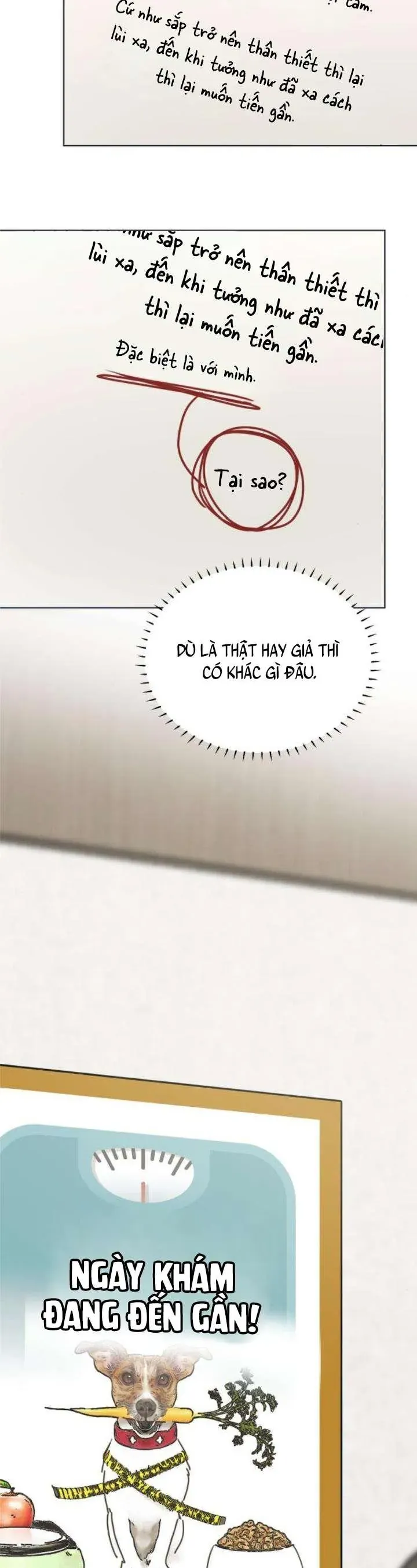 Trang 15 - Muốn Bị Lừa Dối