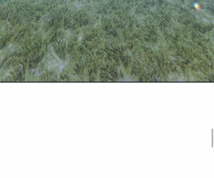 Chương 10.5 - Trang 244