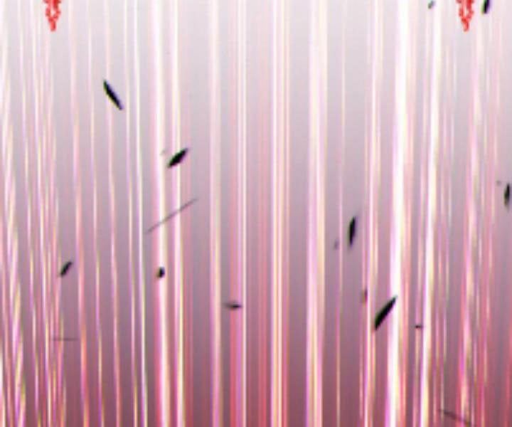 Chương 10.5 - Trang 284