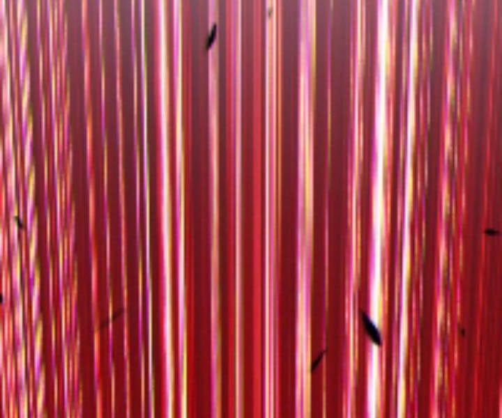 Chương 10.5 - Trang 285