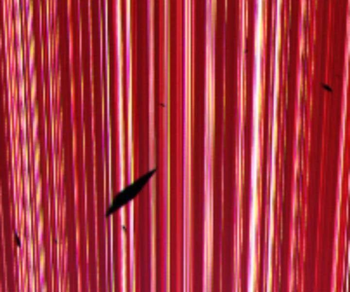 Chương 10.5 - Trang 286