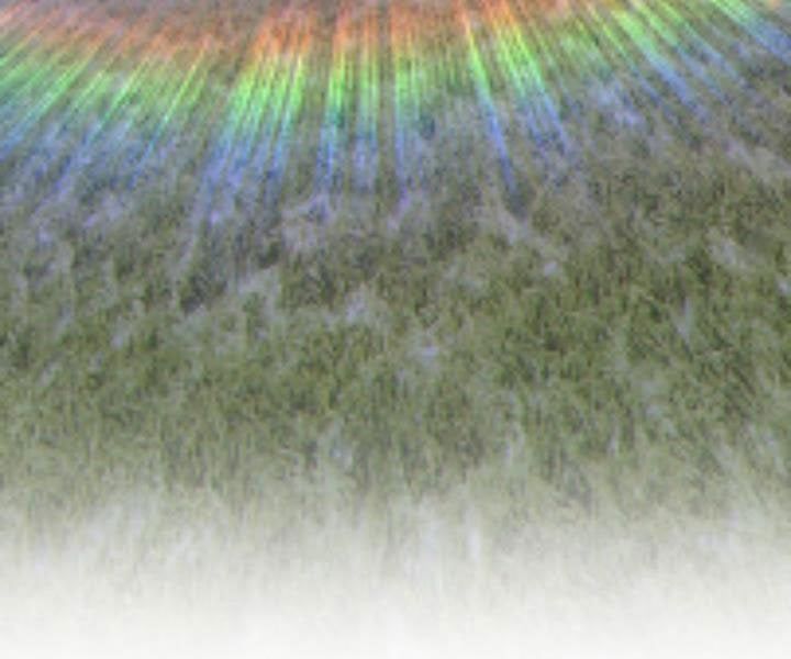 Chương 10.5 - Trang 292