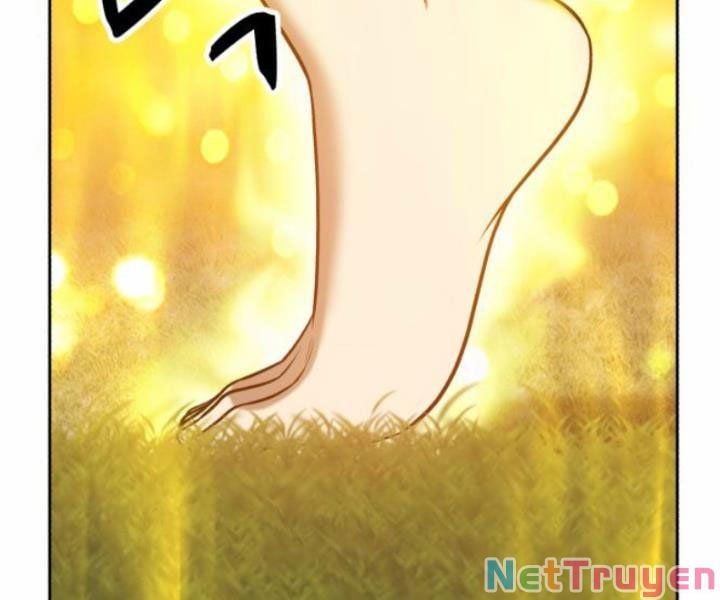 Chương 10 - Trang 312