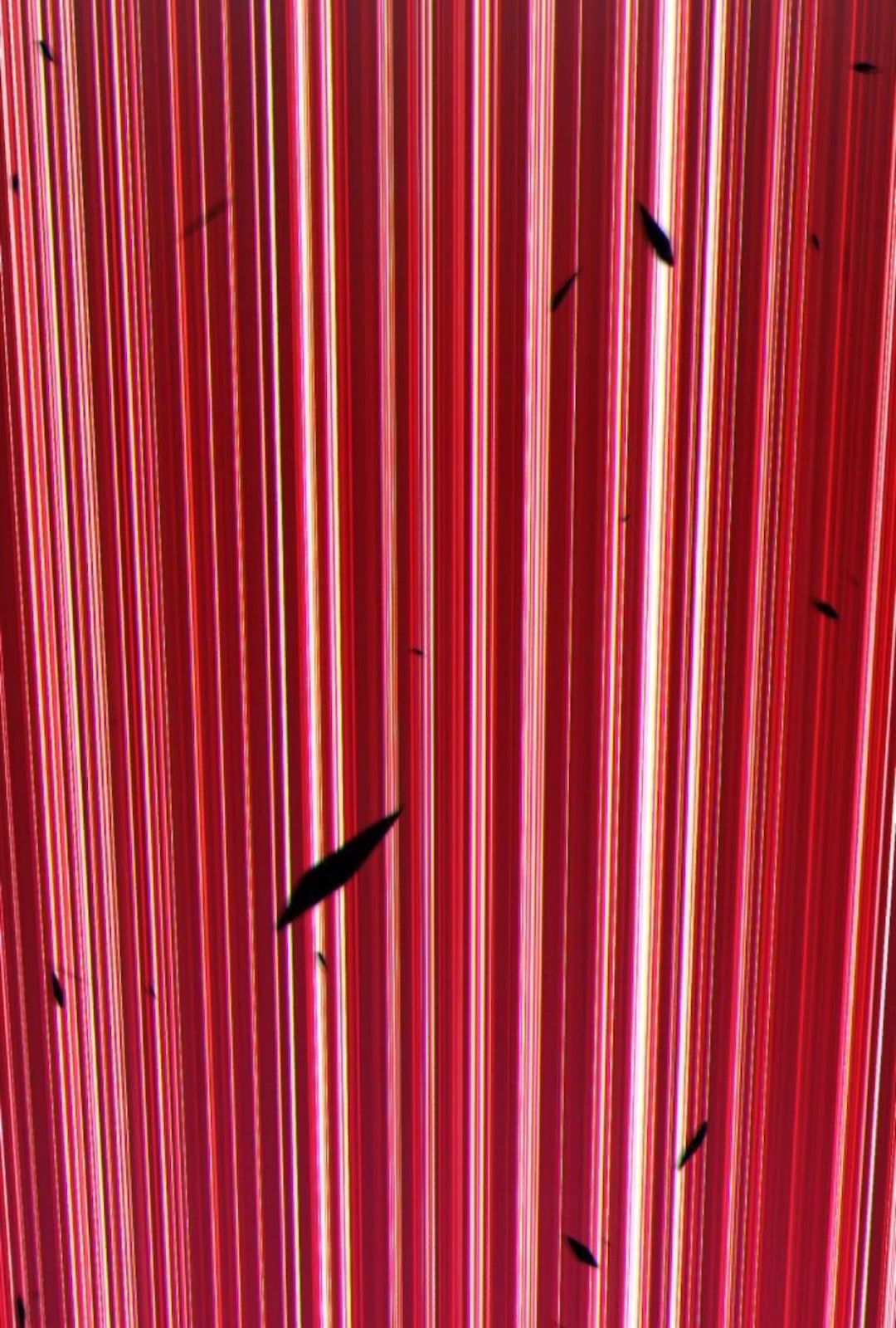 Chương 11 - Trang 11