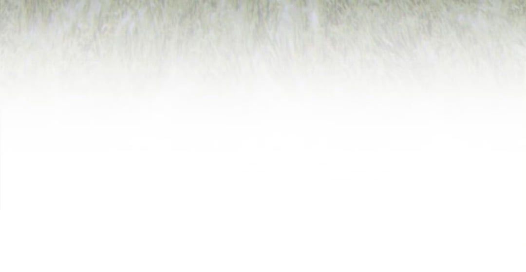 Chương 11 - Trang 15