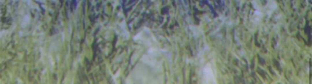 Chương 11 - Trang 25