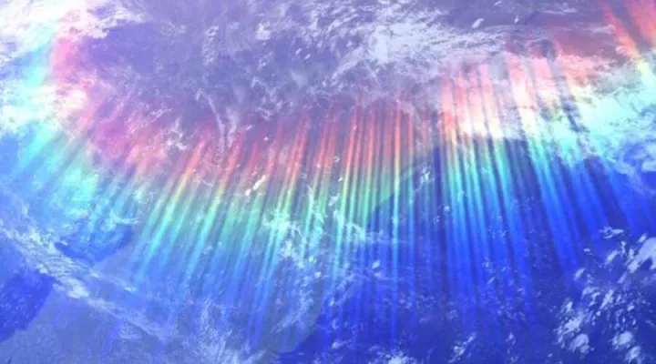 Chương 12 - Trang 223