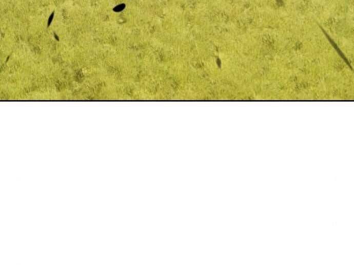 Chương 15.5 - Trang 176