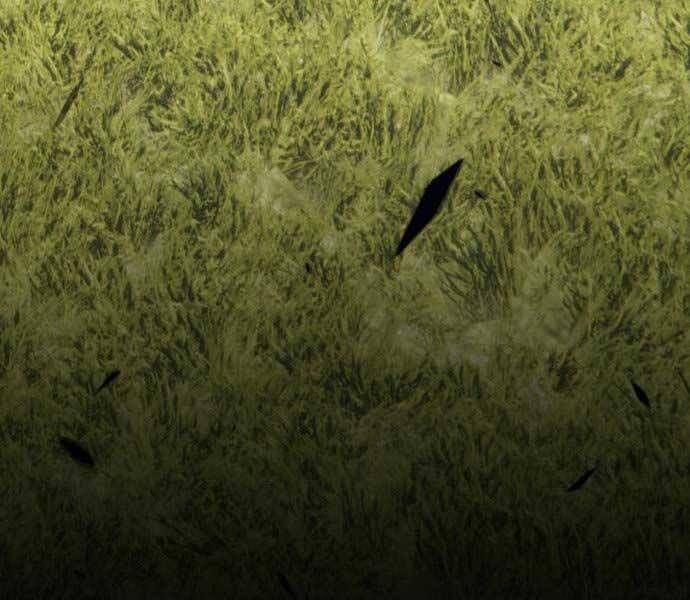 Chương 15.5 - Trang 226