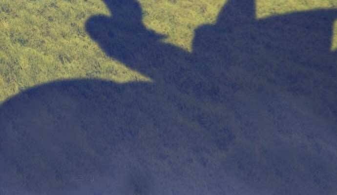 Chương 15.5 - Trang 240