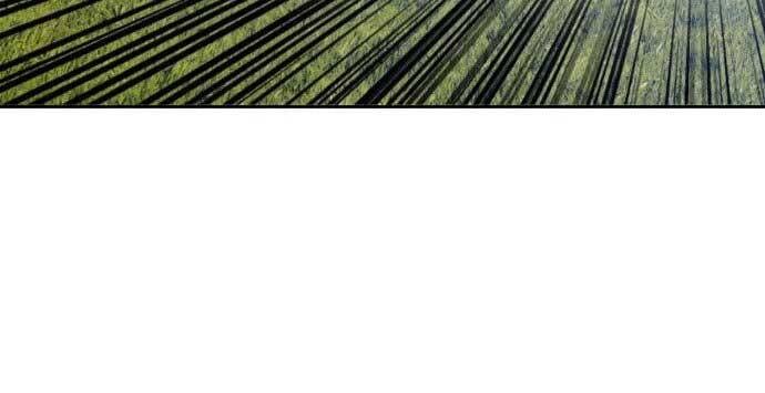 Chương 15.5 - Trang 33