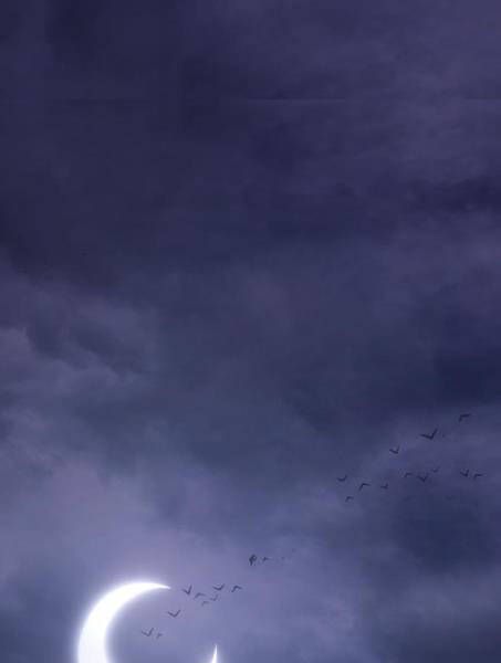 Chương 2.1 - Trang 88