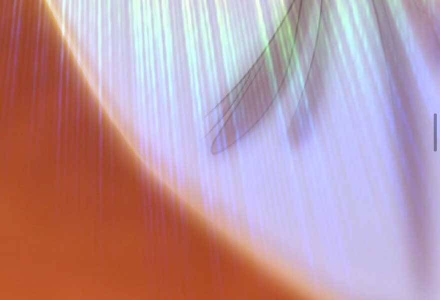 Chương 20.3 - Trang 196