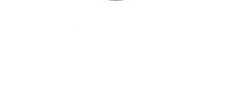 Chương 20 - Trang 120