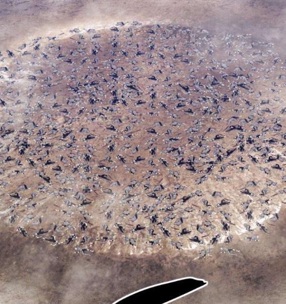 Chương 3.1 - Trang 188