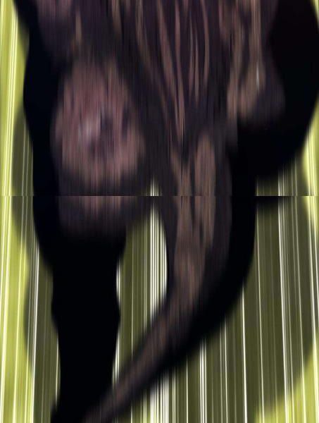 Chương 5 - Trang 215