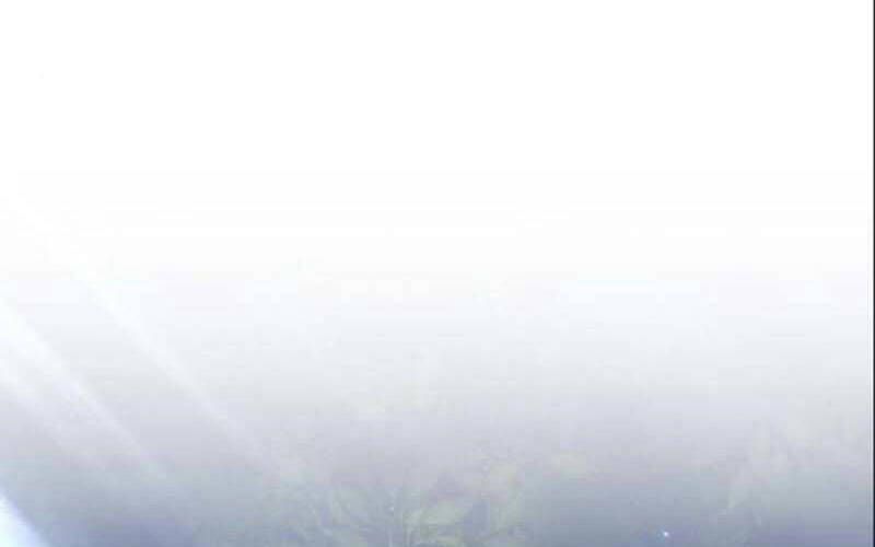 Chương 6.1 - Trang 124