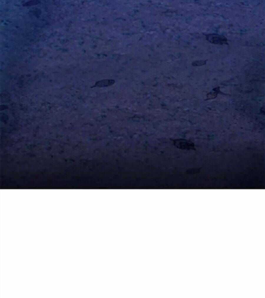 Chương 9 - Trang 12