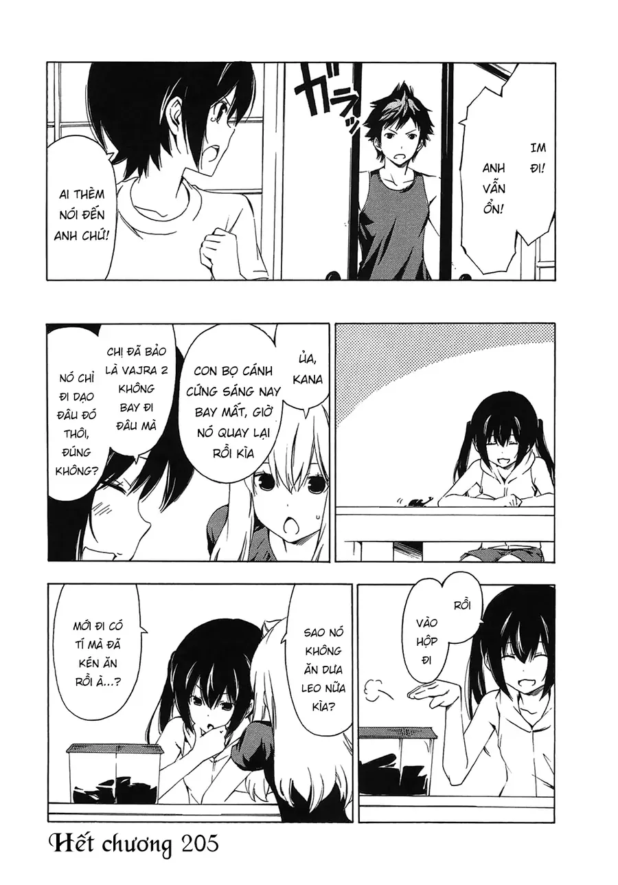Minami-ke - Chương 205 - Trang 11
