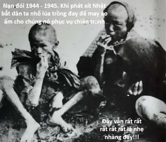 Hổ Đến Chơi Nhà - Chương 178 - Trang 3