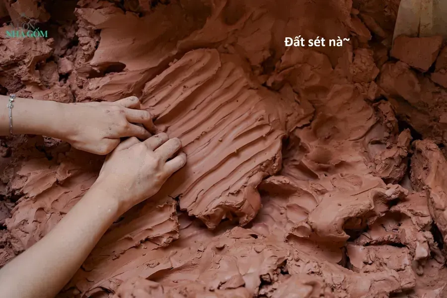 Hổ Đến Chơi Nhà - Chương 178 - Trang 4