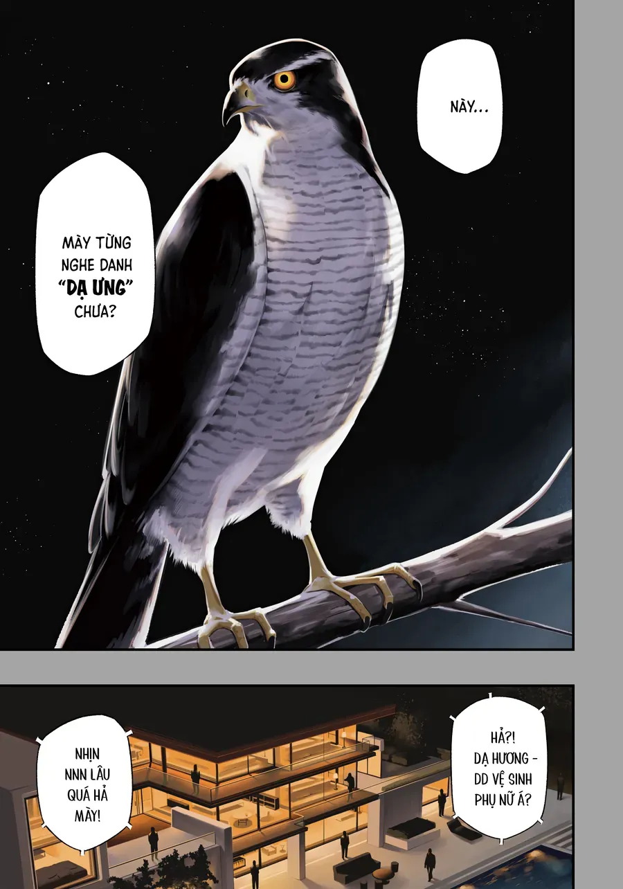 Nighthawk Returns Chương 1 - Trang 2