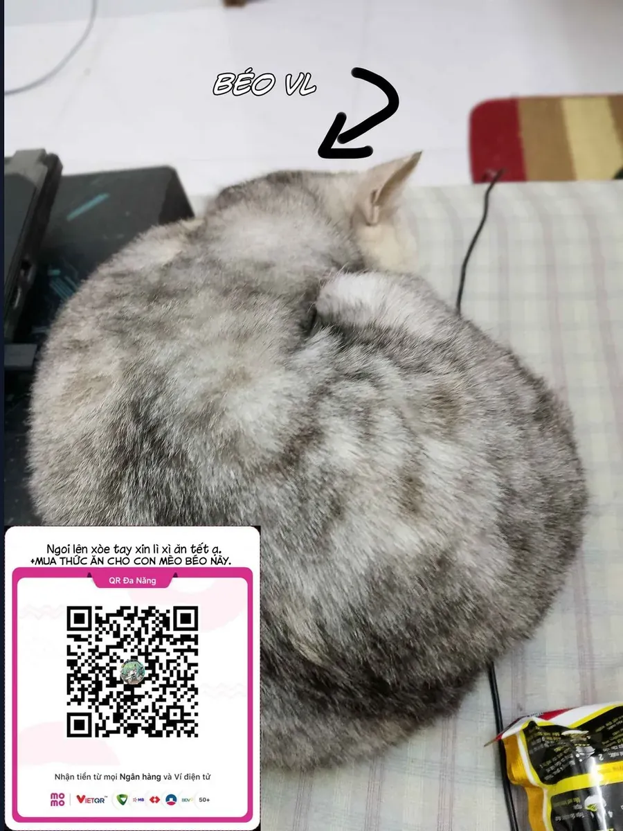 Misaki-Kun Wa Kouryaku Chara Janai Chương 29 - Trang 19