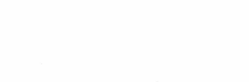 Tôi Chỉ Là Người Khuân Vác Trong Hầm Ngục - Chương 26 - Trang 54