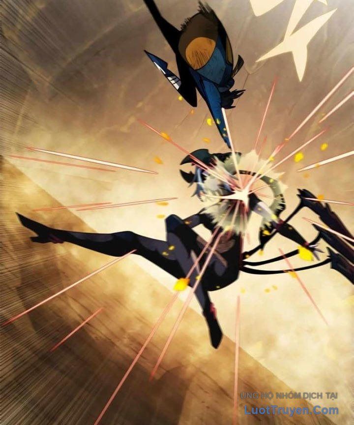 Tôi Chỉ Là Người Khuân Vác Trong Hầm Ngục - Chương 37 - Trang 264