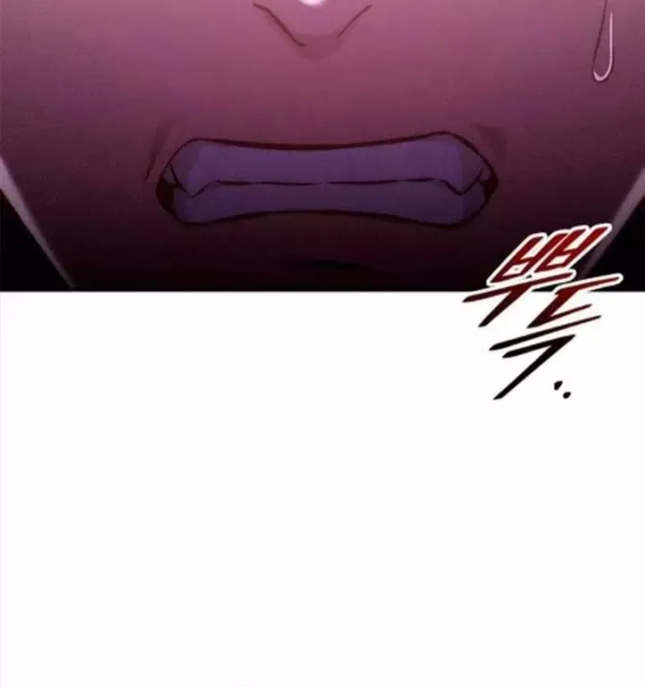 Thiếu Gia Chủ Của Gia Tộc Tử Linh Sư - Chương 65 - Trang 144