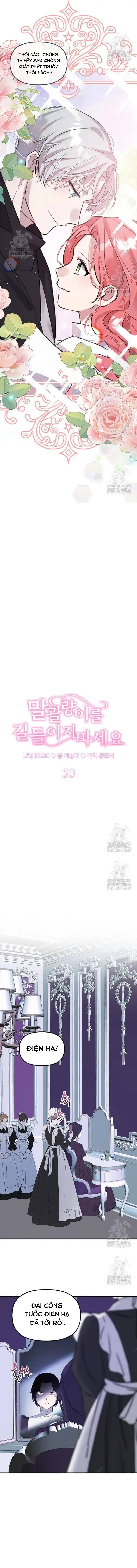 dung-thuan-hoa-co-nang-danh-da-10