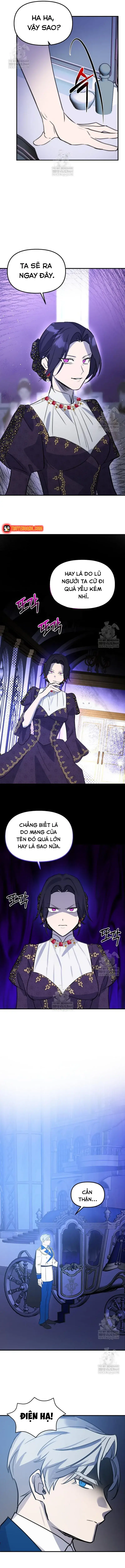 dung-thuan-hoa-co-nang-danh-da-11