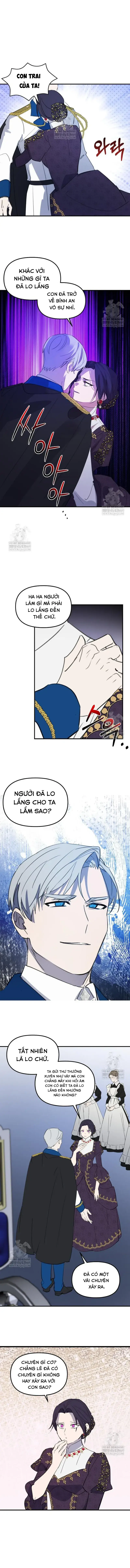 dung-thuan-hoa-co-nang-danh-da-12