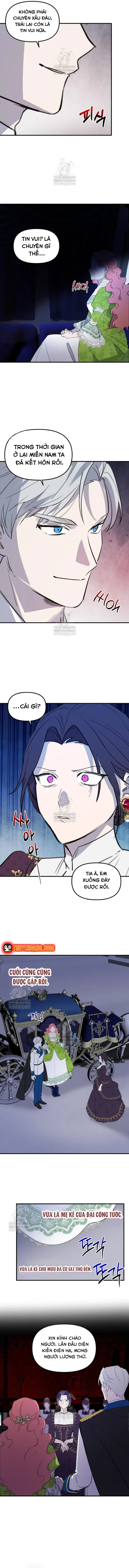 dung-thuan-hoa-co-nang-danh-da-13