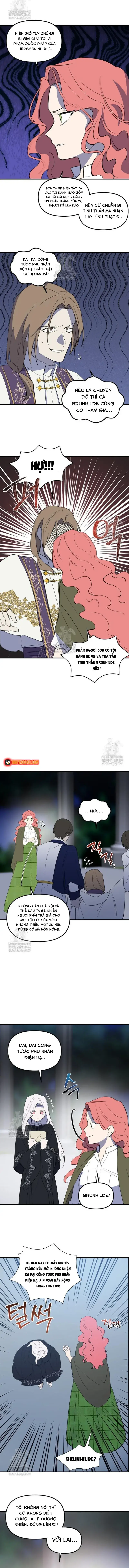 dung-thuan-hoa-co-nang-danh-da-5