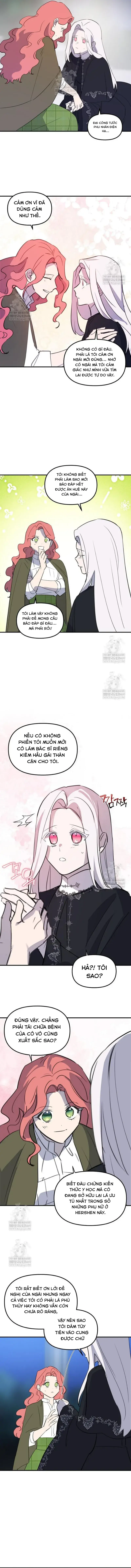 dung-thuan-hoa-co-nang-danh-da-6