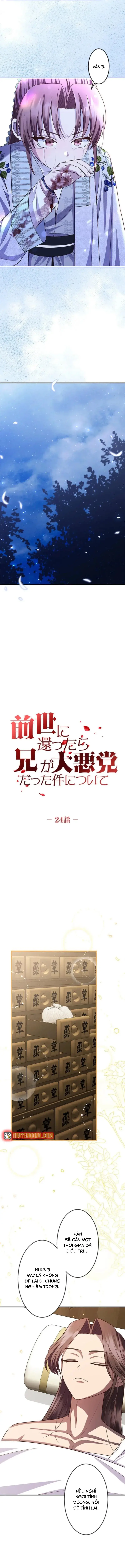 Trùng Sinh Về Kiếp Trước, Ta Phát Hiện Anh Trai Là Kẻ Đại Ác Nhân - Chương 24 - Trang 5