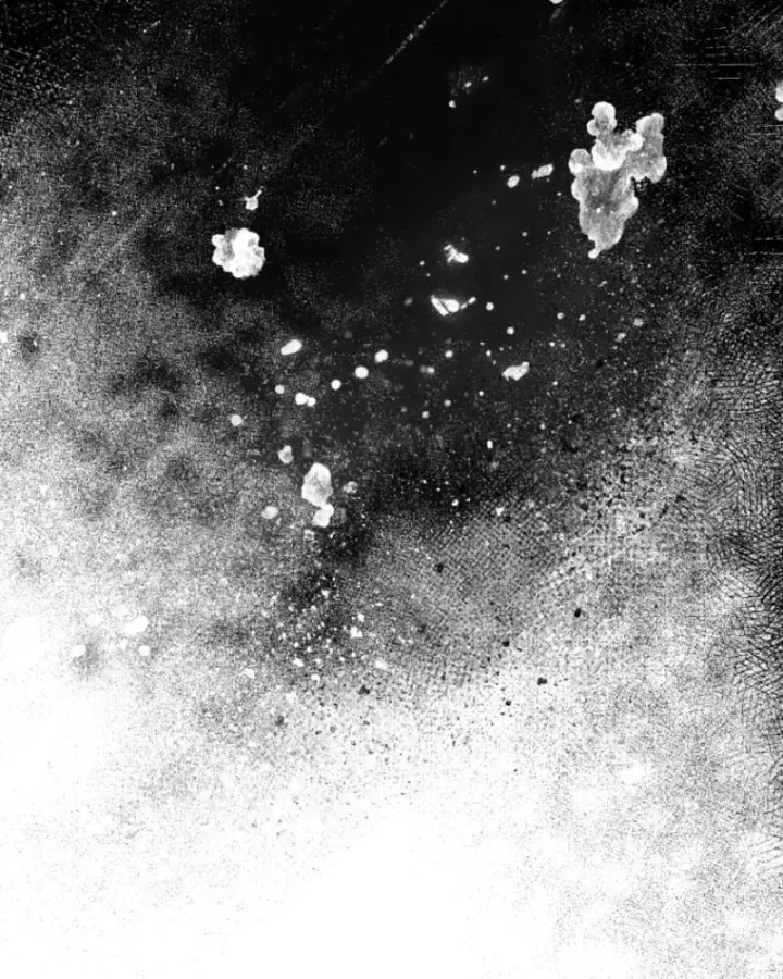 Tôi Sẽ Vực Dậy Gia Tộc Này Chương 66 - Trang 154