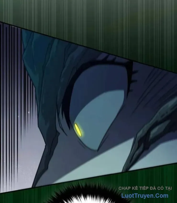 Cuộc Đời Mới Của Cường Giả Chương 14 - Trang 32