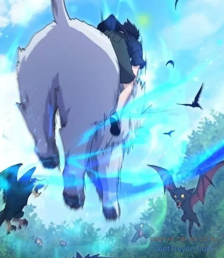 Cuộc Đời Mới Của Cường Giả Chương 14 - Trang 6