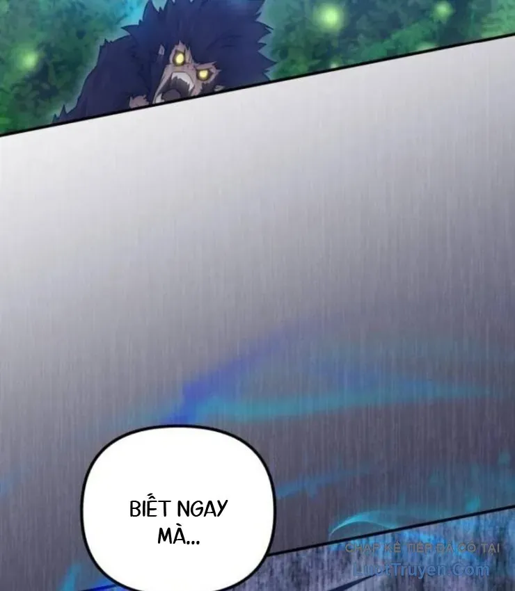 Cuộc Đời Mới Của Cường Giả Chương 14 - Trang 7